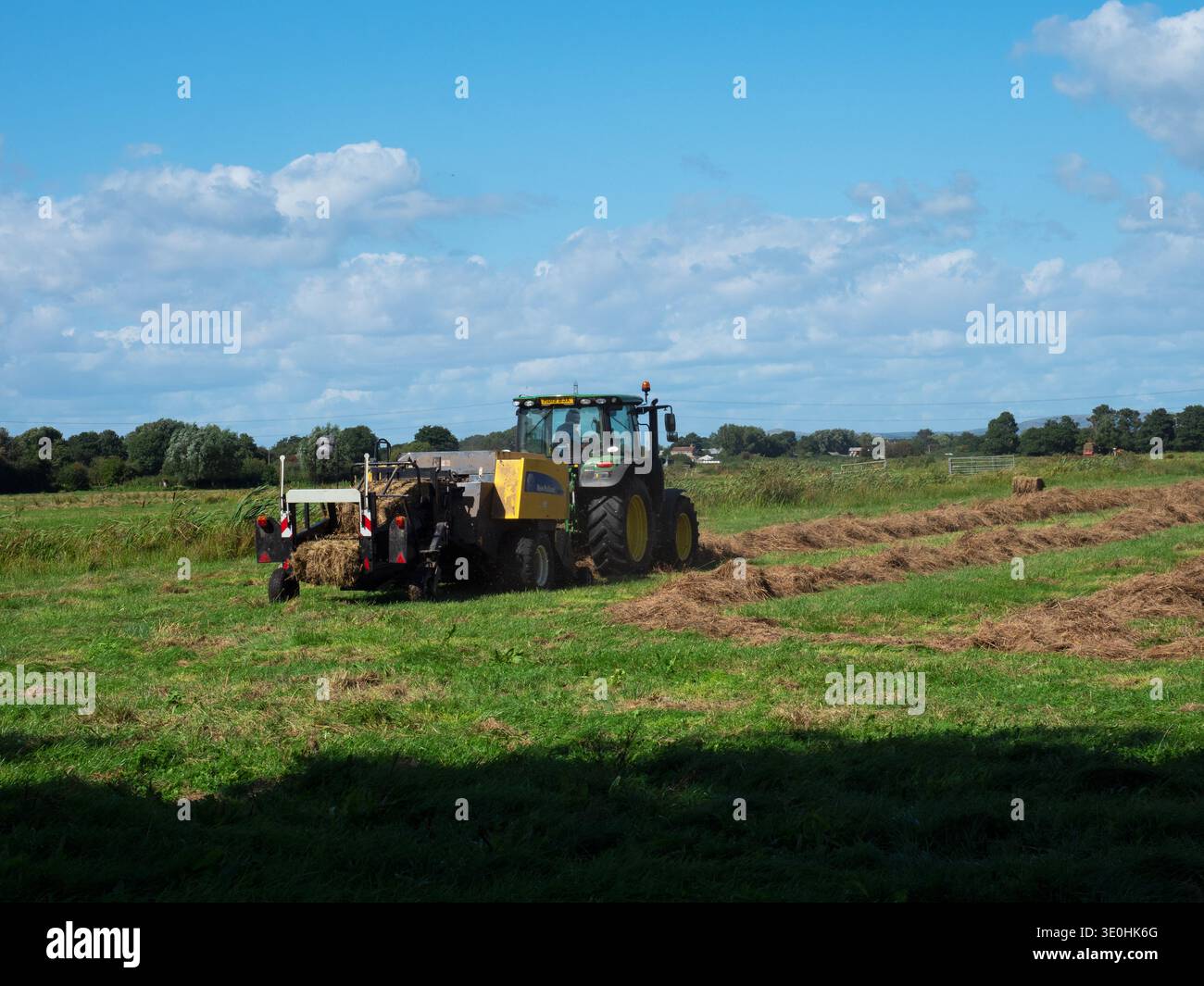 Farmer Baling Hay, Catcott Loves nature Reserve, Somerset Levels and Moors, Somerset, Angleterre, Royaume-Uni, septembre 2019 Banque D'Images
