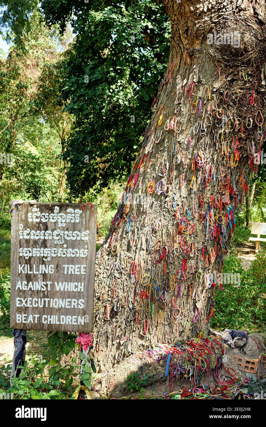 À Choeung Ek au Cambodge, l'arbre tuant est un mémorial pour les enfants perdus pendant le génocide. Les visiteurs laissent des bracelets en souvenir. Banque D'Images
