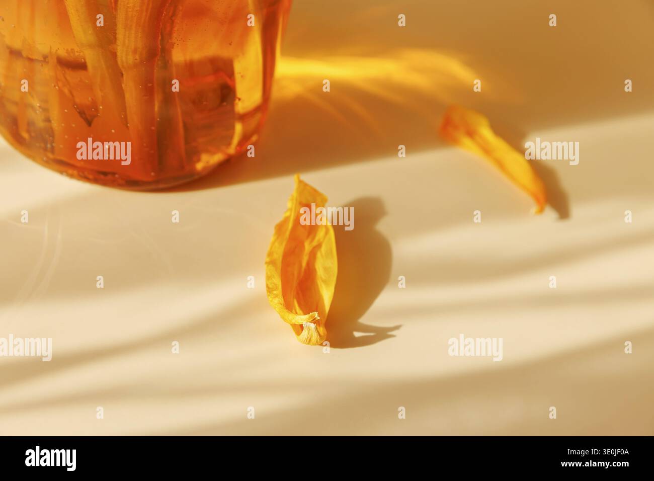 Sunlight Shadow et Golden Reflection nature morte minimale Banque D'Images