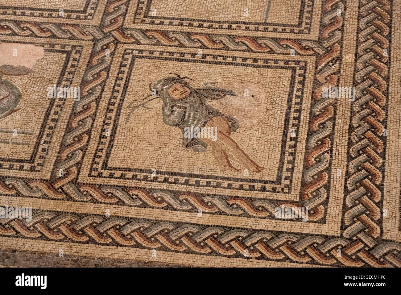 Gros plan d'une mosaïque romaine montrant une figure féminine dans une bordure géométrique ornée, photographiée au Musée de l'Arles antique et de la Provence à Arle Banque D'Images