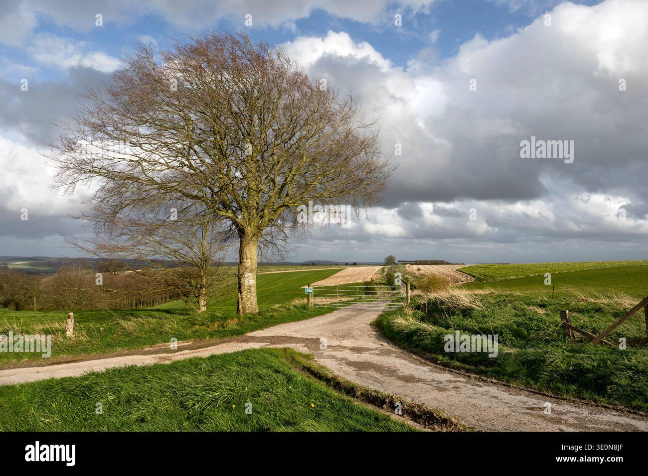 Salisbury Plain ; Goddards Cleave ; près de Charlton St Peter ; Wiltshire ; Royaume-Uni Banque D'Images