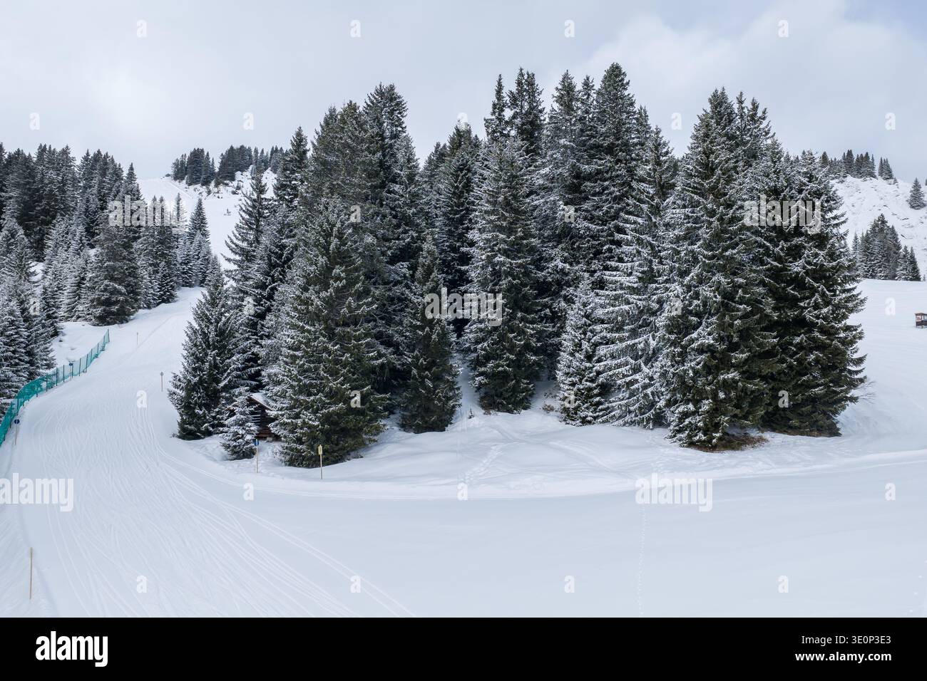 Piste de ski entretenue et feuilles persistantes chargées de neige à Lech Oberlech, Alpes Banque D'Images