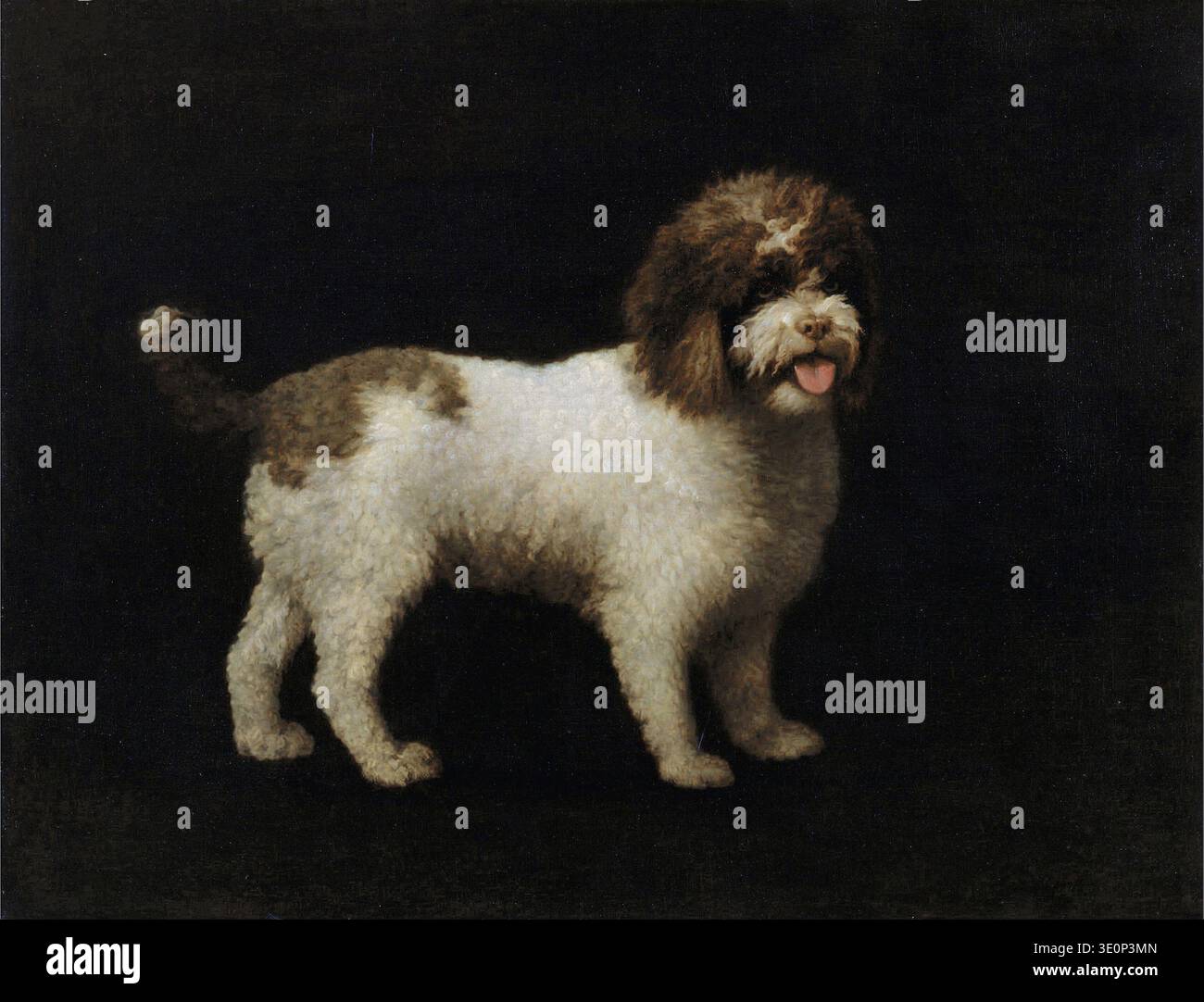 Cette captivante peinture à l'huile de George Stubbs des années 1770 représente un spagneul d'eau brune et vive debout de profil sur un fond sombre, mettant en valeur les compétences remarquables de l'artiste dans le portrait d'animaux. Le pelage déchiqueté et l'expression vive du chien sont rendus avec des détails réalistes, un témoignage du style réaliste de Stubbs. Banque D'Images