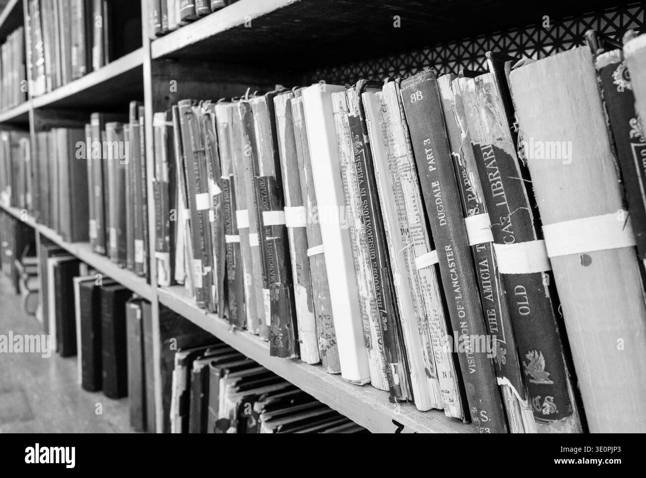 Une rangée de livres anciens est soigneusement disposée sur des étagères en bois dans un cadre de bibliothèque faiblement éclairé. Banque D'Images