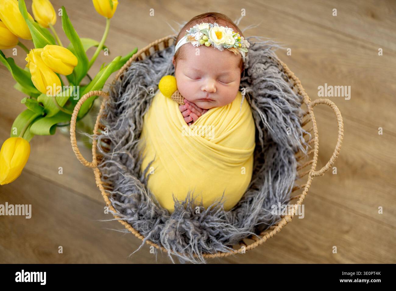 Jeune fille dormant dans un panier avec Toy Ice Cream et Yellow Tulips Photoshoot Banque D'Images