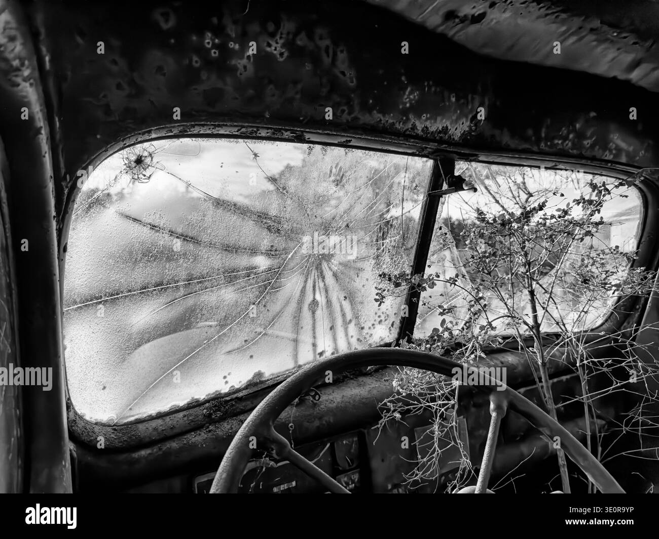 Une vue du pare-brise brisé de l'intérieur d'un vieux camion abandonné avec un buisson poussant à travers le verre. En noir et blanc. Banque D'Images
