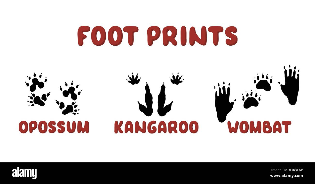 Empreintes animales australiennes avec kangourou opossum et icônes de wombat. Illustrations isolées vectorielles de silhouettes de pattes Illustration de Vecteur