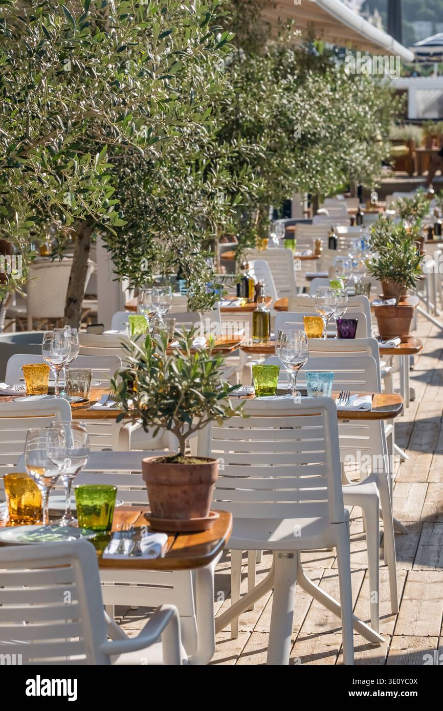 Élégant restaurant extérieur terrasse avec oliviers à Nice Banque D'Images