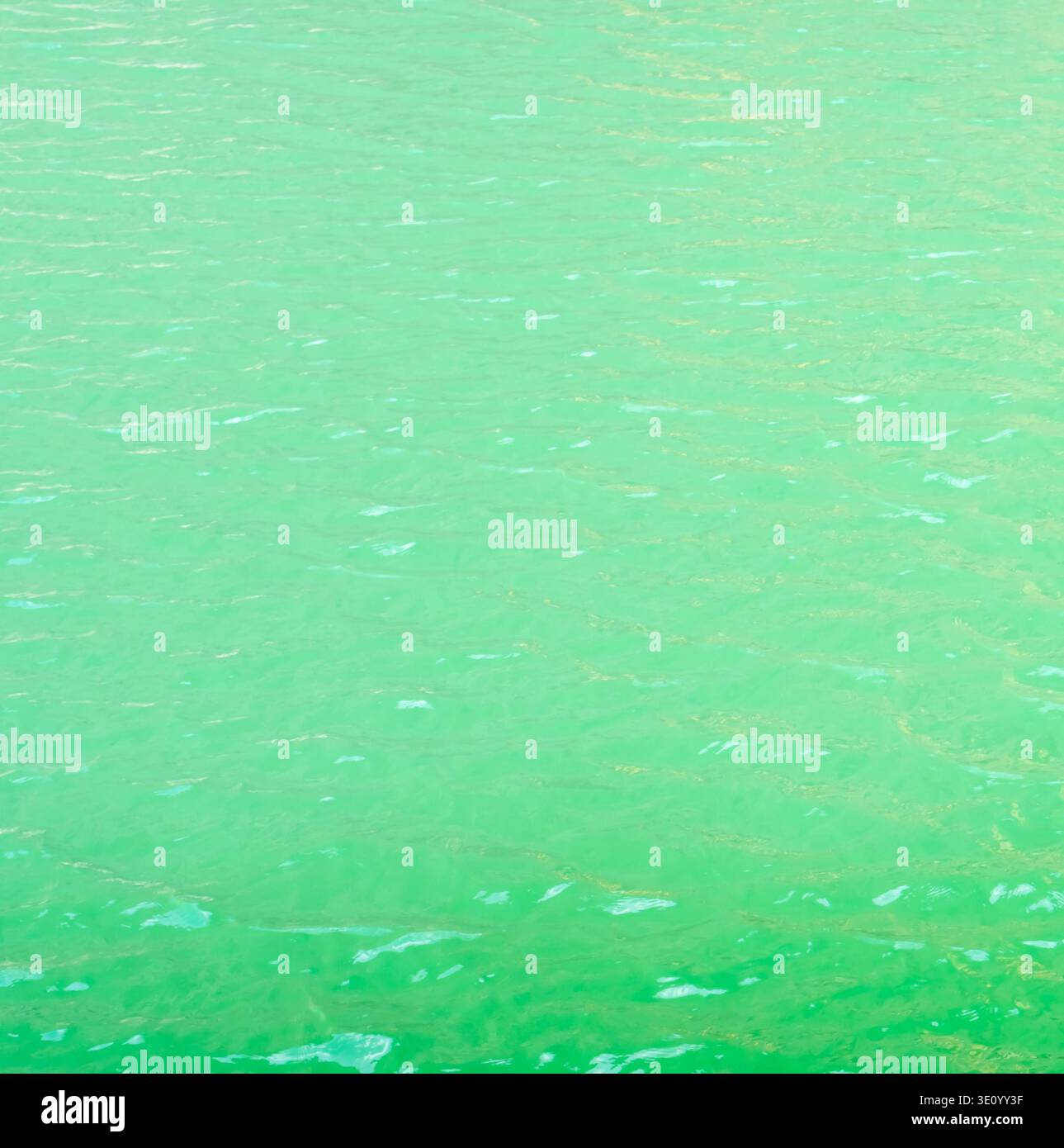 Pleine trame de texture de fond d'eau verte ou émeraude est utilisée comme texture de fond d'eau verte naturelle. Banque D'Images