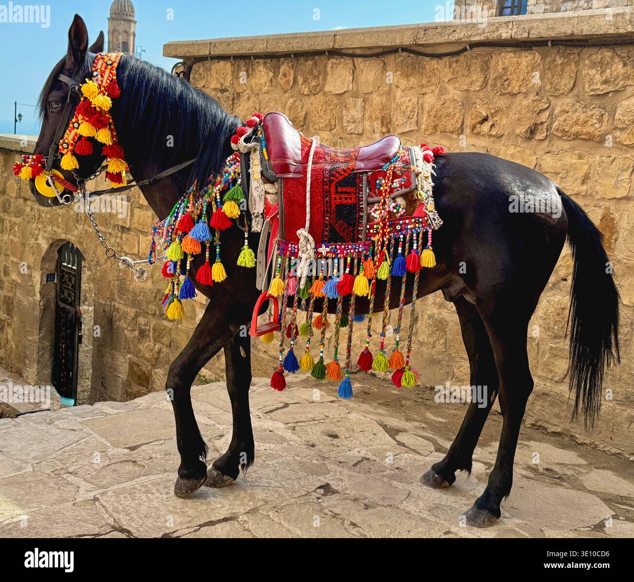 Cheval noir avec des ornements traditionnels colorés dans les rues étroites en pierre de Mardin, Turquie, authentique culture mésopotamienne et patrimoine photo de voyage Banque D'Images