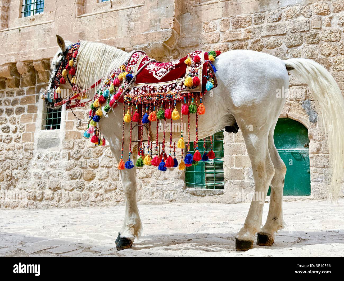 Cheval blanc avec des ornements traditionnels colorés dans les rues étroites en pierre de Mardin, Turquie, authentique culture mésopotamienne et patrimoine photo de voyage Banque D'Images