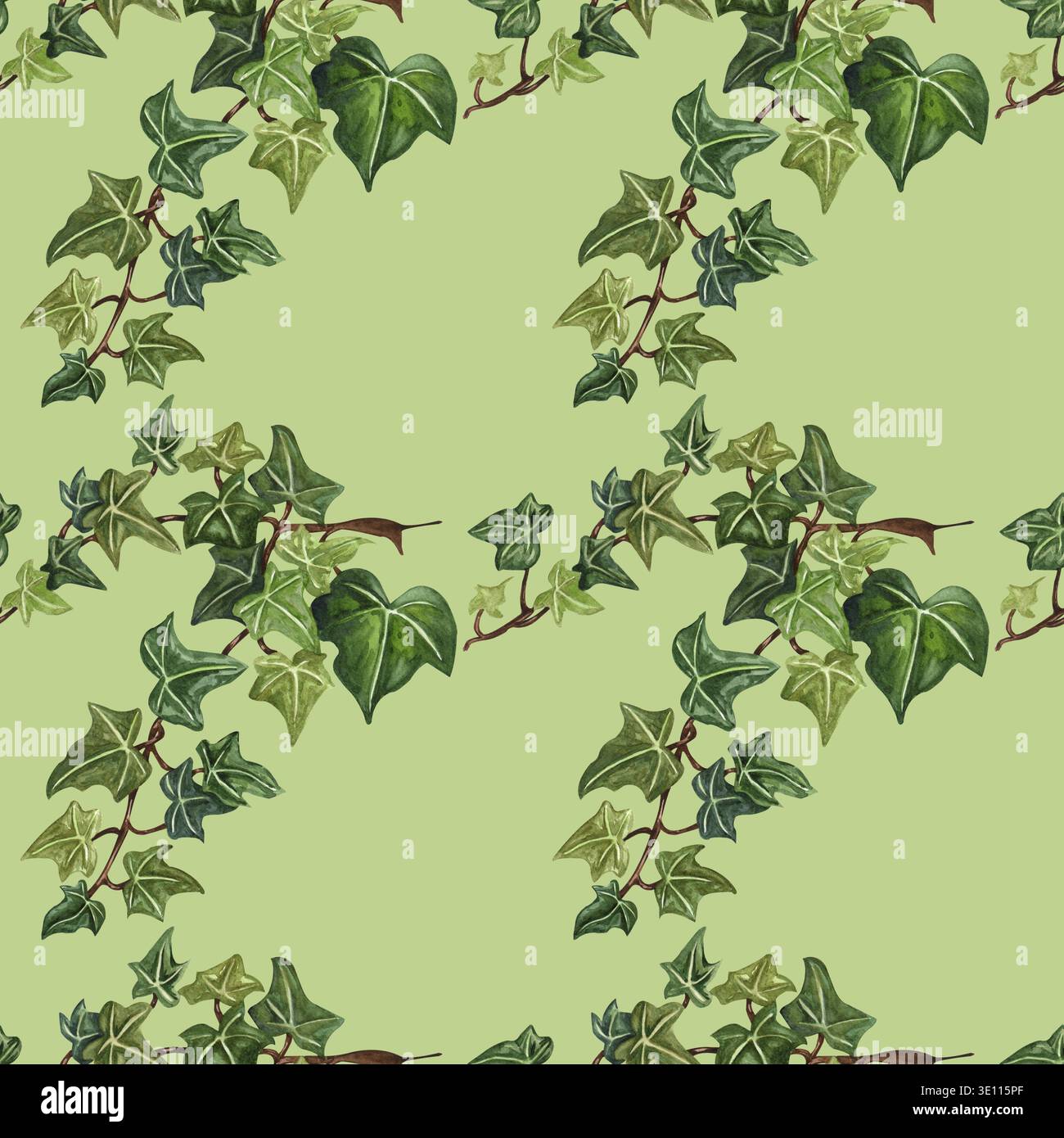 Illustration de lierre botanique sans couture à l'aquarelle. Motif Botanical sans couture de lierre twig. Feuilles de lierre vert peintes à la main, fond vert Banque D'Images