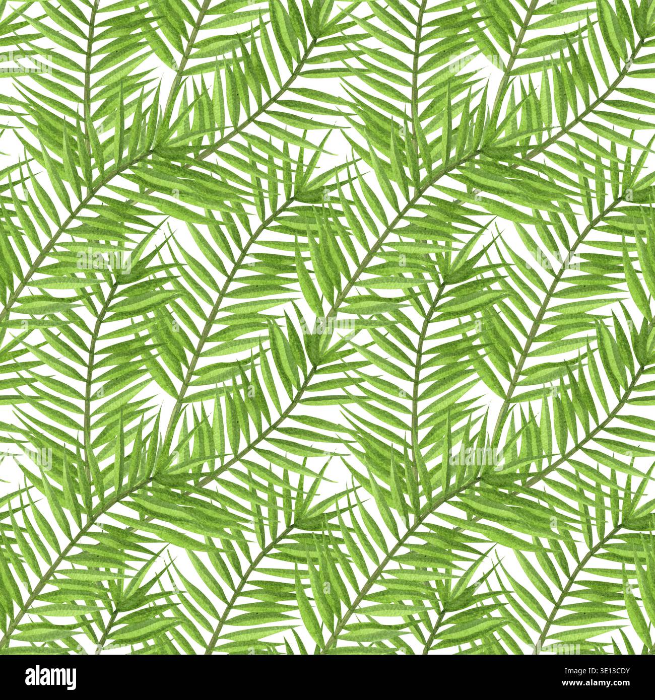 Aquarelle de feuilles de palmier tropical motif sans couture. Motif floral tropical sans couture dessiné à la main Banque D'Images