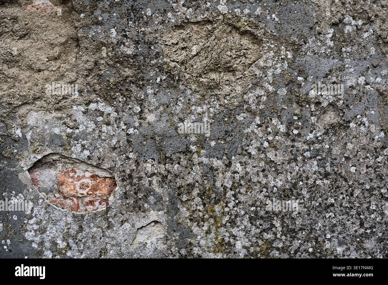 Surface en pierre grise naturelle recouverte de texture lichen blanche et verte. Fond de mur de roche altéré, modèle minéral organique gros plan Banque D'Images