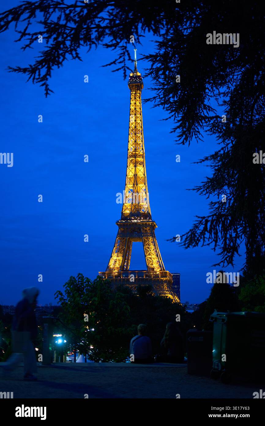 La Tour Eiffel illuminée la nuit contre un ciel bleu profond, vue à travers des branches d'arbres silhouettées au premier plan. Le fer emblématique... Banque D'Images