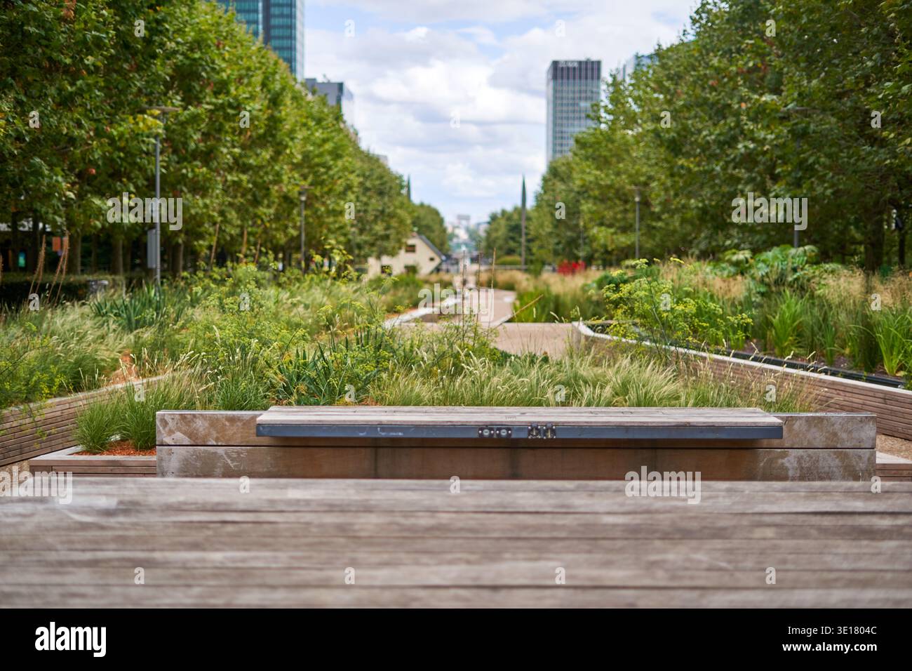 Un parc urbain serein avec des bancs en bois altérés au premier plan, donnant sur un chemin sinueux bordé d'herbes indigènes luxuriantes et... Banque D'Images