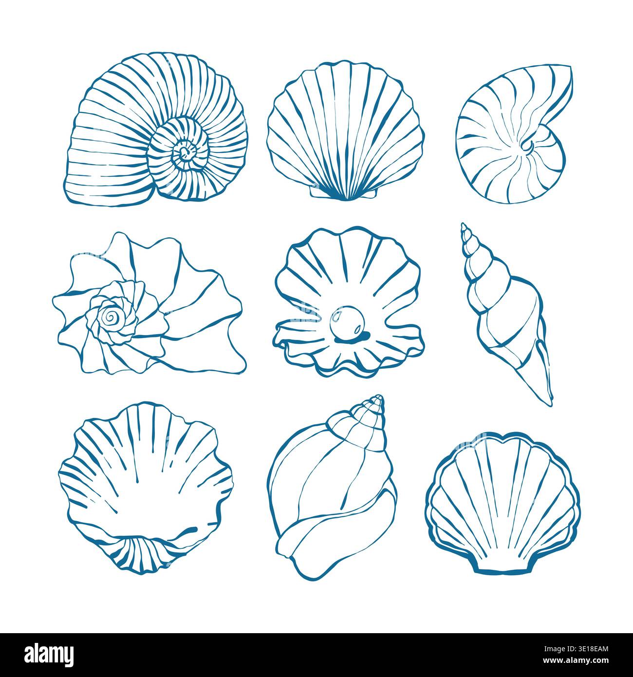 Seashells Doodle illustrations vectorielles dessinées à la main en couleur bleue. Ensemble de coques diverses. Différentes formes. Soulignez le style moderne. Été, vacances, océan, concept de plage. Illustration vectorielle à la mode dessinée à la main. Eléments de conception isolés Illustration de Vecteur