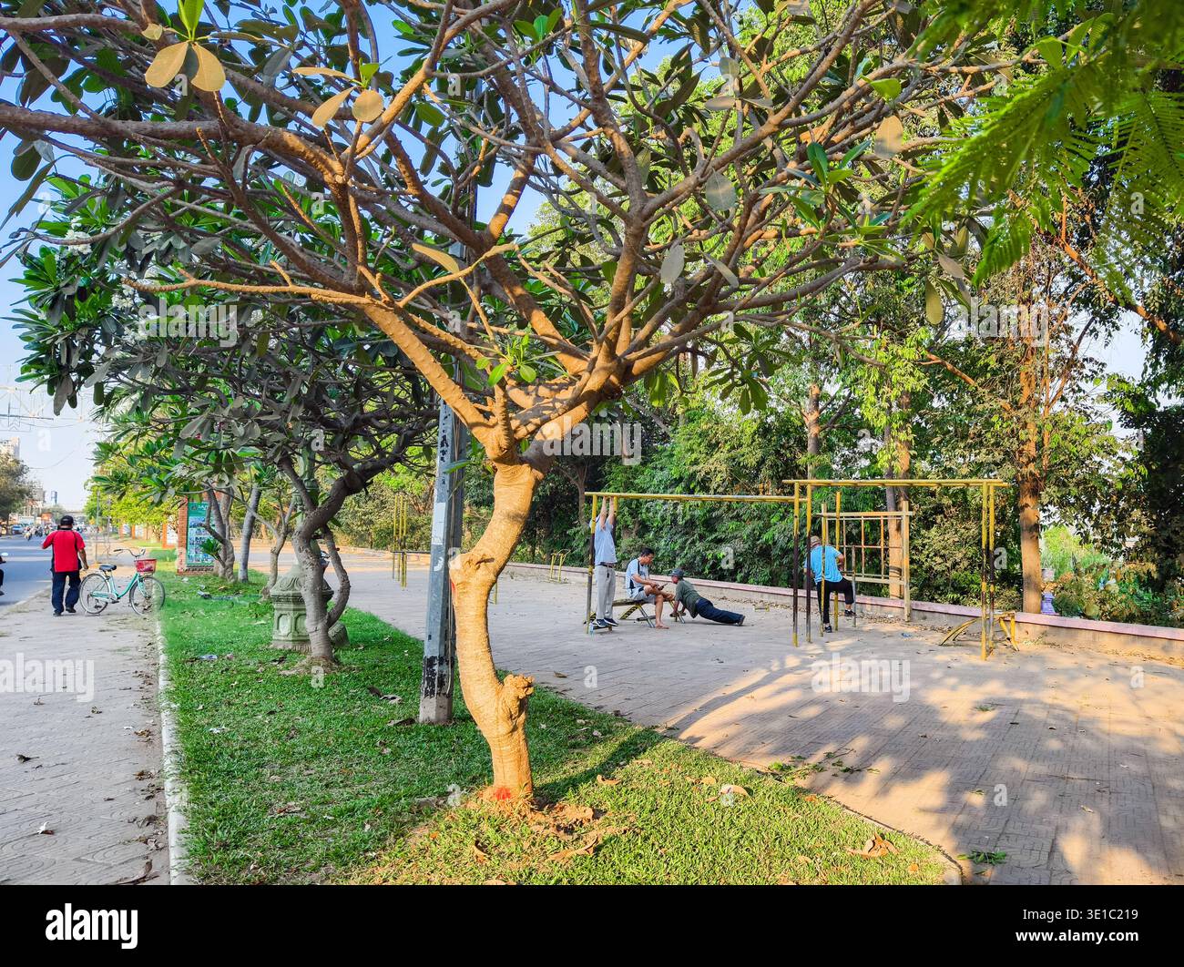 Kampong Cham, Cambodge, Asie, parc public avec équipement d'exercice extérieur, arbres Banque D'Images