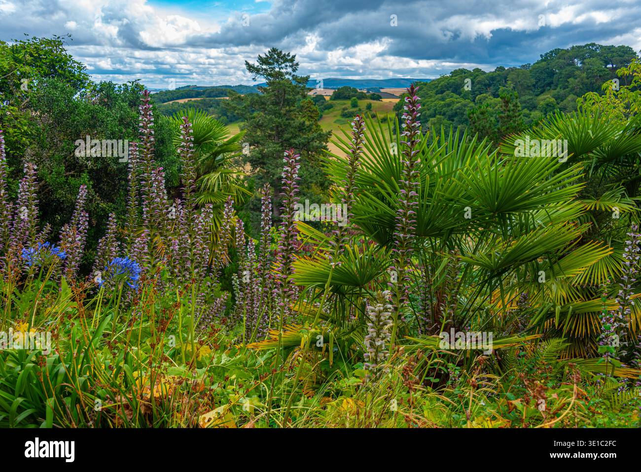 Jardin du château dunster en Angleterre.IMAGE Banque D'Images