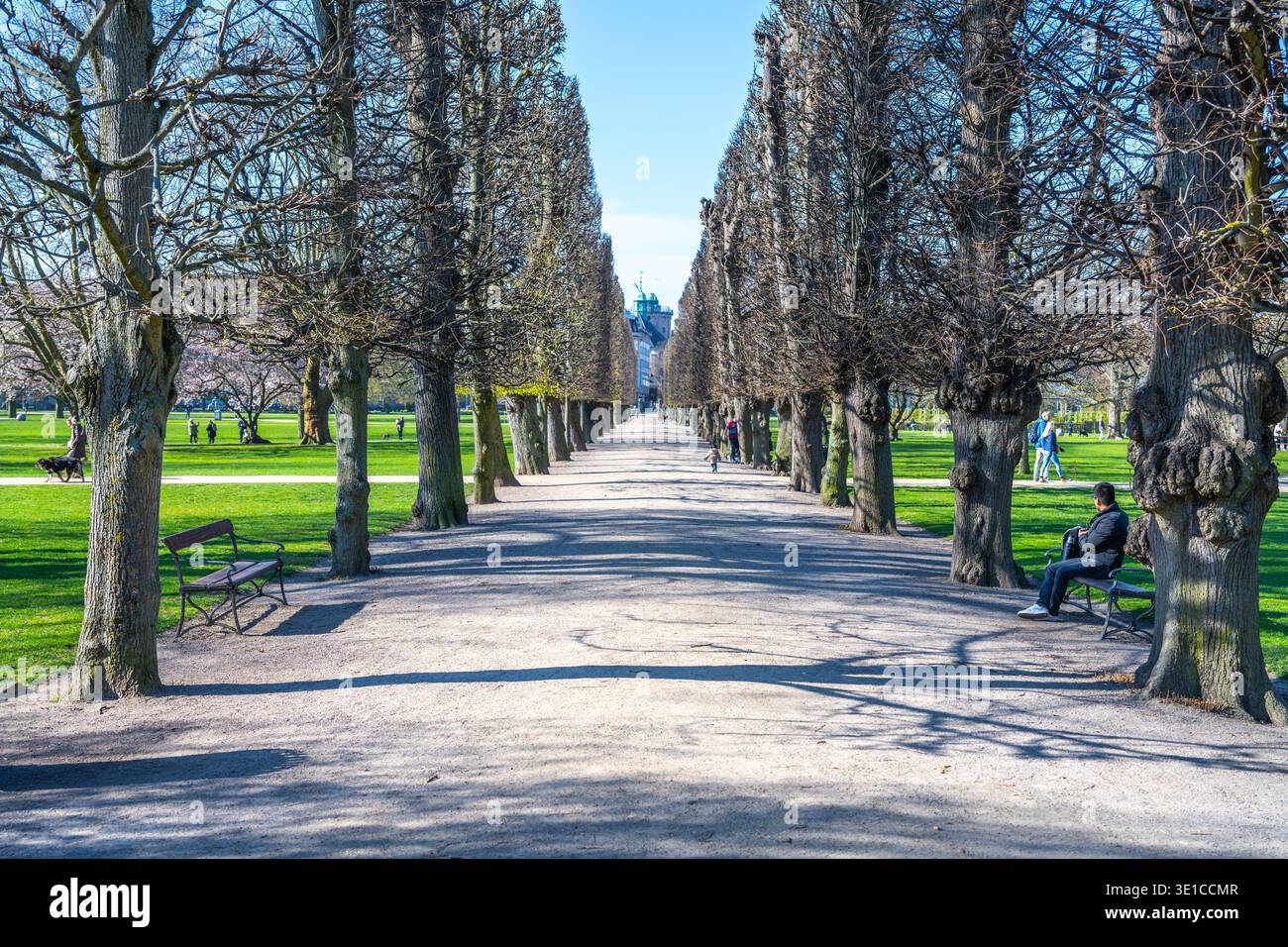 Les visiteurs se promènent dans les sentiers bordés des jardins du château de Rosenborg à Copenhague. Les arbres projettent des ombres sur le gravier tandis que les clients apprécient l'atmosphère printanière paisible. Banque D'Images