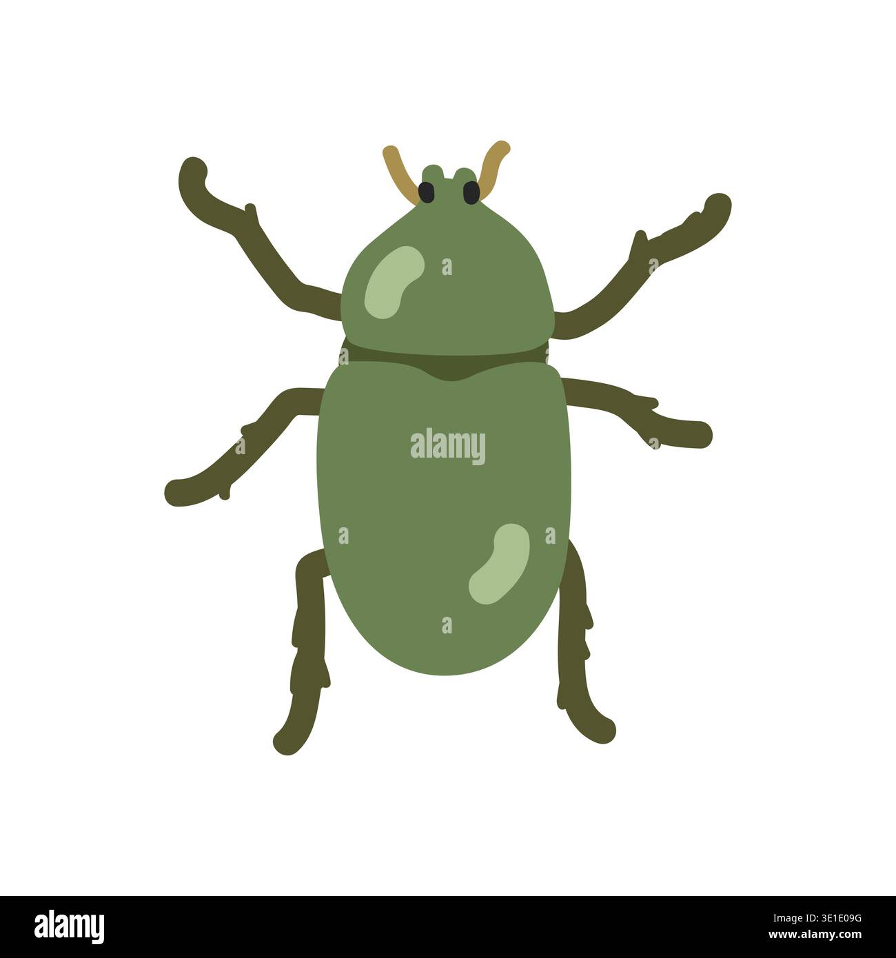 Clipart de dessin animé de coléoptère. Illustration vectorielle de coléoptère vert mignon. Animal dans un style plat. Concept d'insectes et d'anthropodes isolé sur fond blanc Illustration de Vecteur