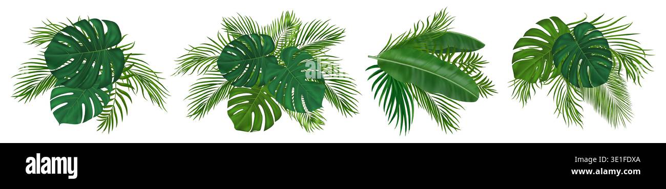 Composition de feuilles tropicales avec des frondes de palmier. Feuilles de jungle exotique vert réaliste pour la décoration de paradis de plage, invitation d'été, design de voyage Illustration de Vecteur