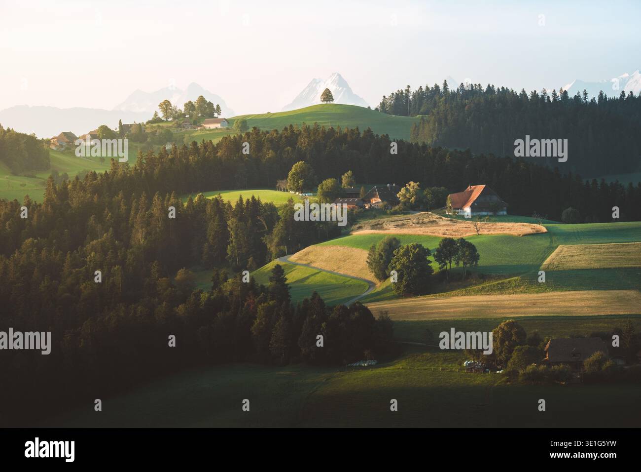 Vue sur les collines vallonnées ornées de prairies verdoyantes et de forêts denses, bâtiments rustiques nichés parmi les arbres, comme une montagne enneigée lointaine Banque D'Images