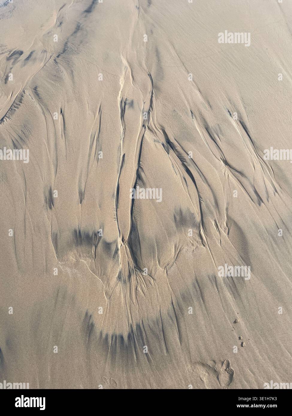 Vaste scène de dunes en forme. Horizon ouvert affichant Windcarved Ridges et Gentle Shadows Banque D'Images