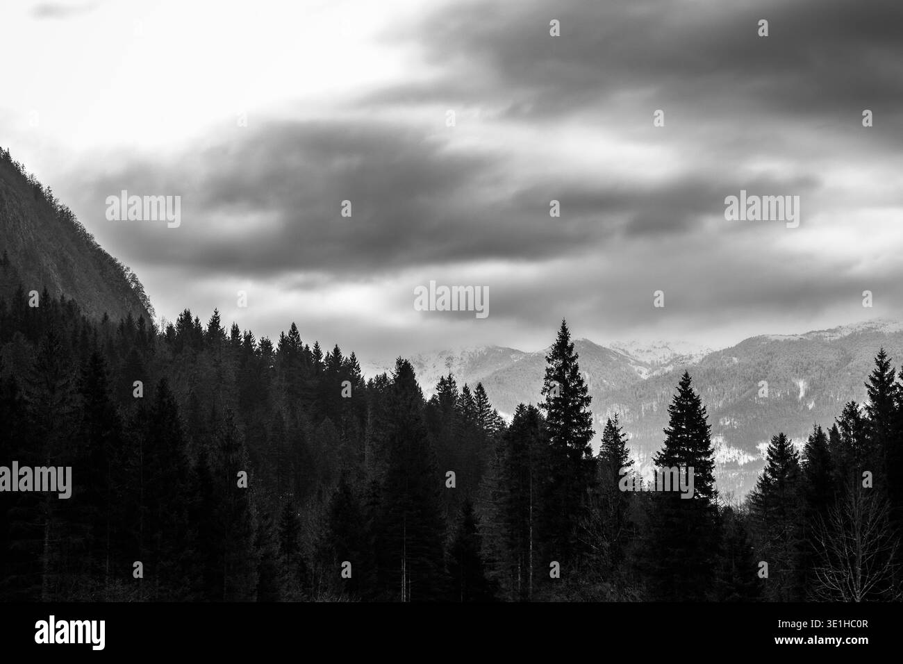 Sentiers de randonnée pittoresques à travers le parc national du Triglav, avec le lac Bohinj, les prairies alpines et les paysages de montagne majestueux. Idéal pour les aventu en plein air Banque D'Images