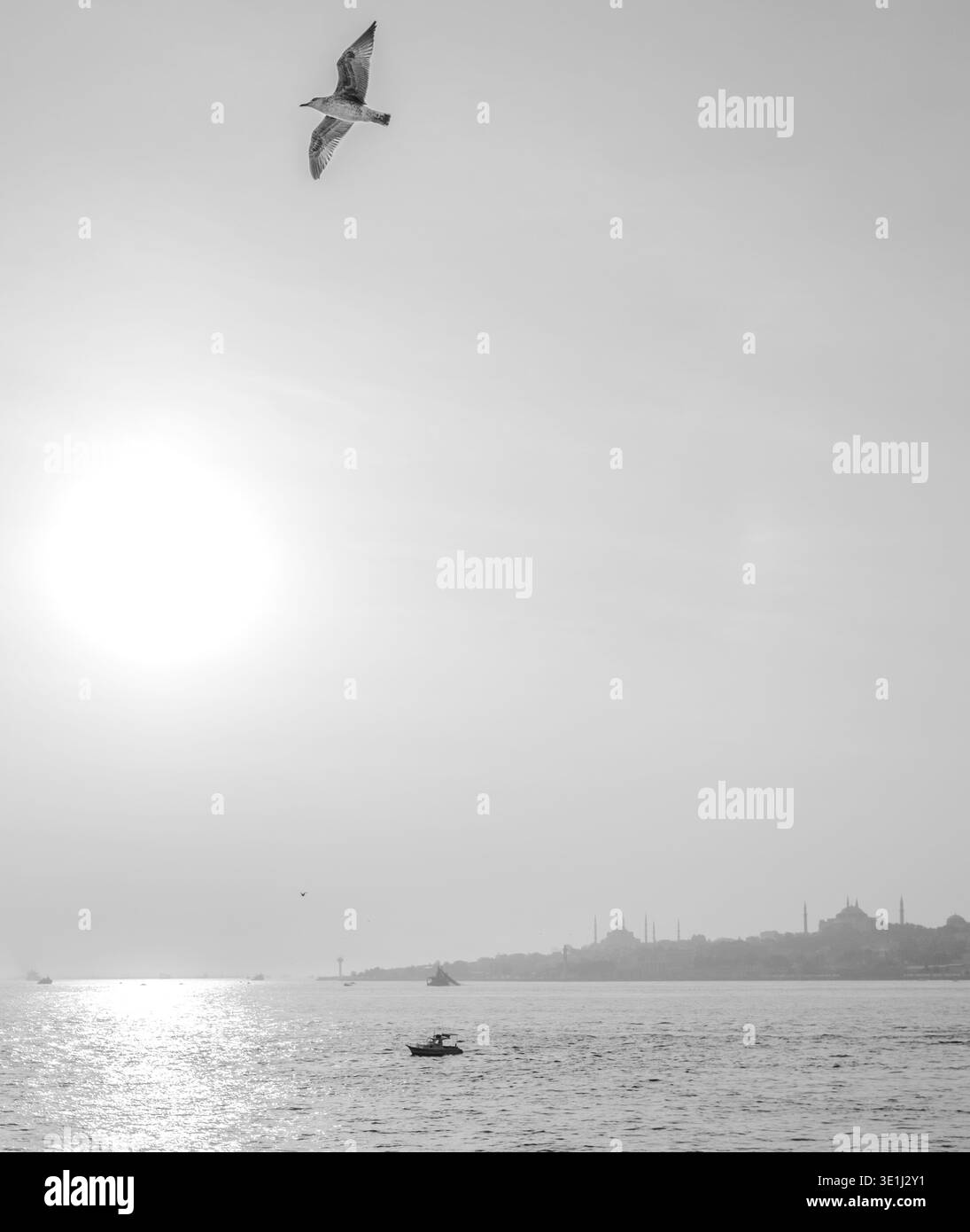 Une seule mouette survole dans le ciel brumeux au-dessus de l'eau calme avec des bateaux et un horizon urbain lointain orné de silhouettes de mosquées. Noir atmosphérique et wh Banque D'Images