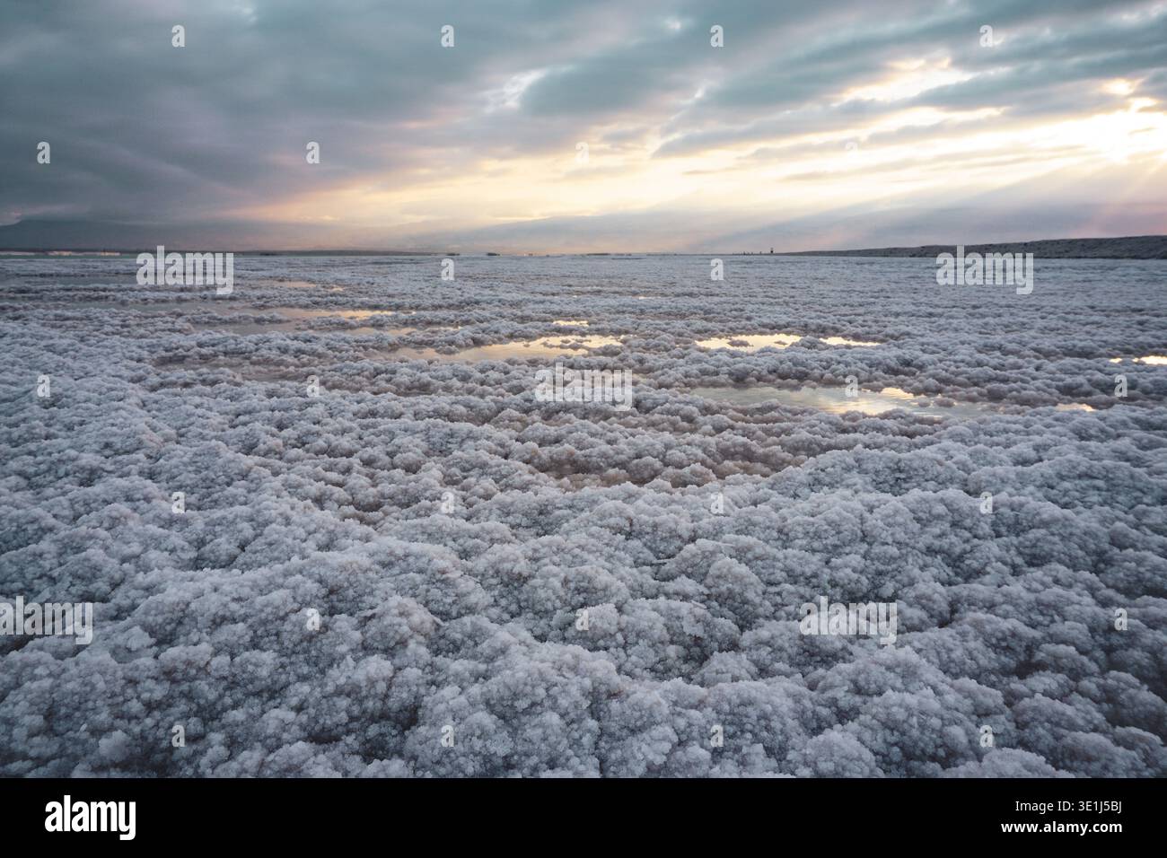 Formations de cristaux de sel recouvrant le rivage avec des bassins d'eau peu profonde sous ciel nuageux à la mer morte Banque D'Images
