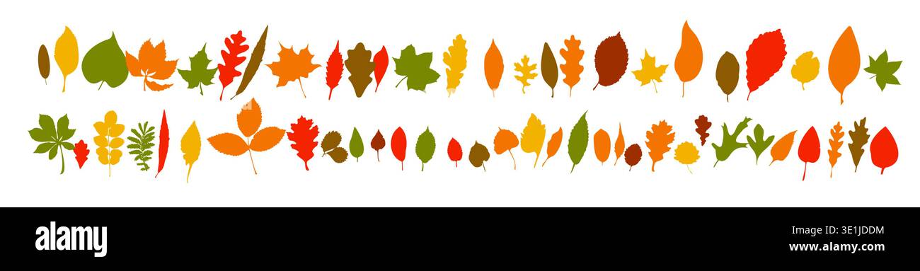 Longue bannière horizontale et fond avec des feuilles d'automne. dessiné à la main. Pas ai, illustration vectorielle Illustration de Vecteur