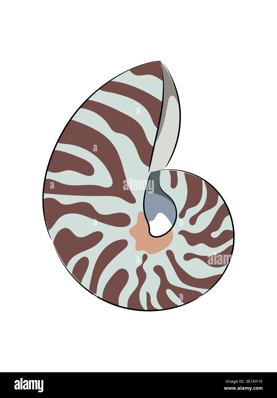 Coquille de Nautilus, coquille de mer en spirale avec motif rayé, illustration vectorielle plate de coquille de mollusque marin isolé sur fond blanc Illustration de Vecteur