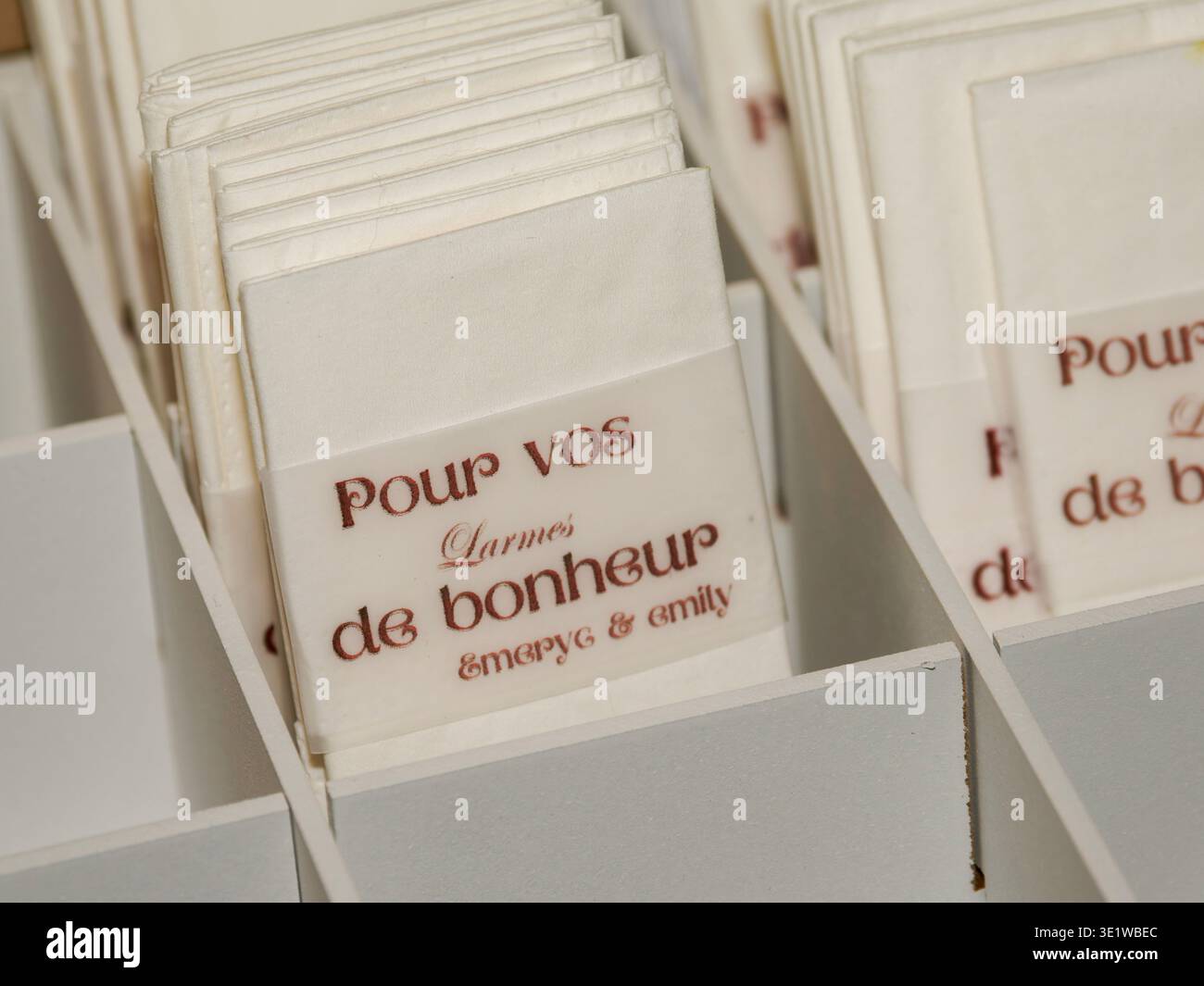 Gros plan des cartes de faveur de mariage élégantes soigneusement disposées dans une boîte d'affichage. Banque D'Images