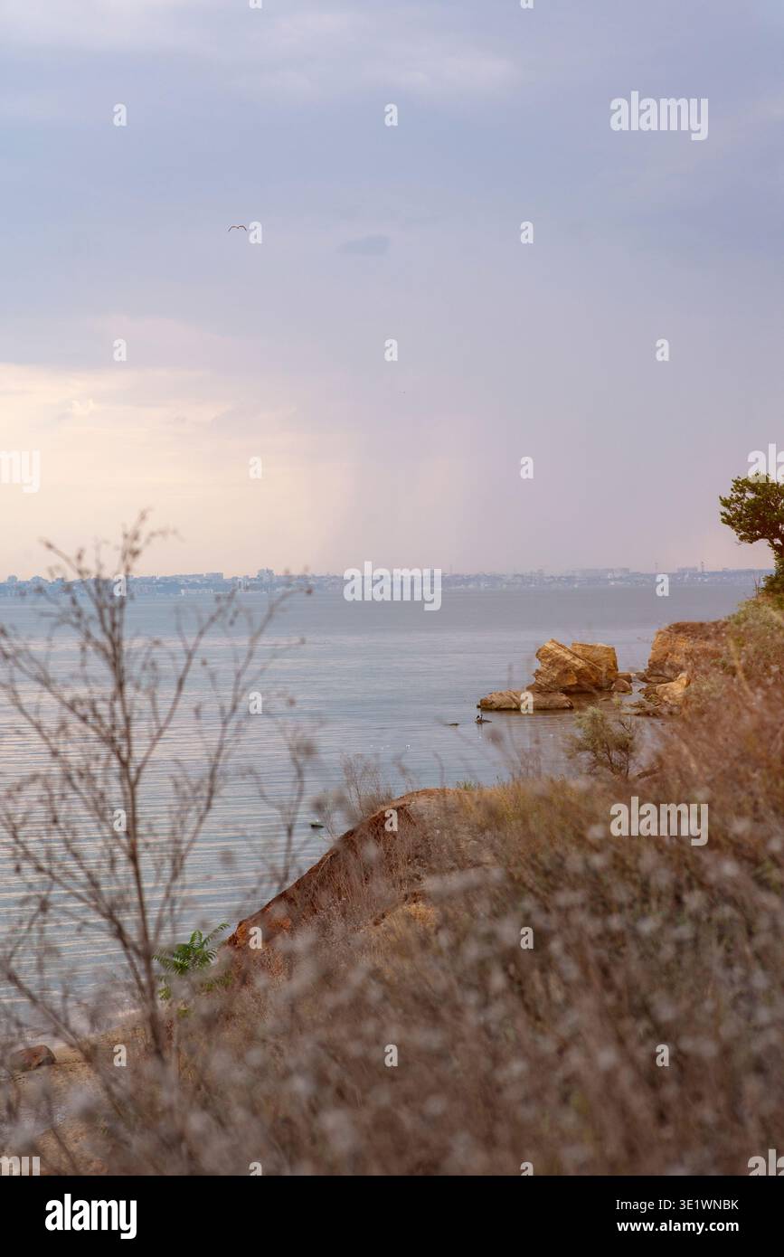 Champ vert avec de l'herbe sauvage sur une colline surplombant l'horizon lointain de la mer. Concept de beauté de la nature rurale, protection de l'environnement côtier, et frais Banque D'Images