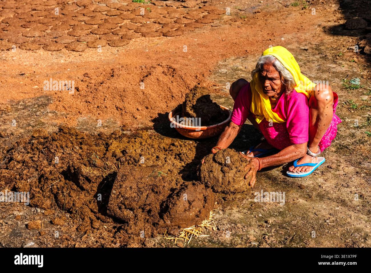 Une femme âgée d'Udaipur, vêtue d'un sari rose vif et d'un voile jaune, est assise sur le sol tout en façonnant soigneusement les gâteaux traditionnels de bouse de vache. UDA Banque D'Images