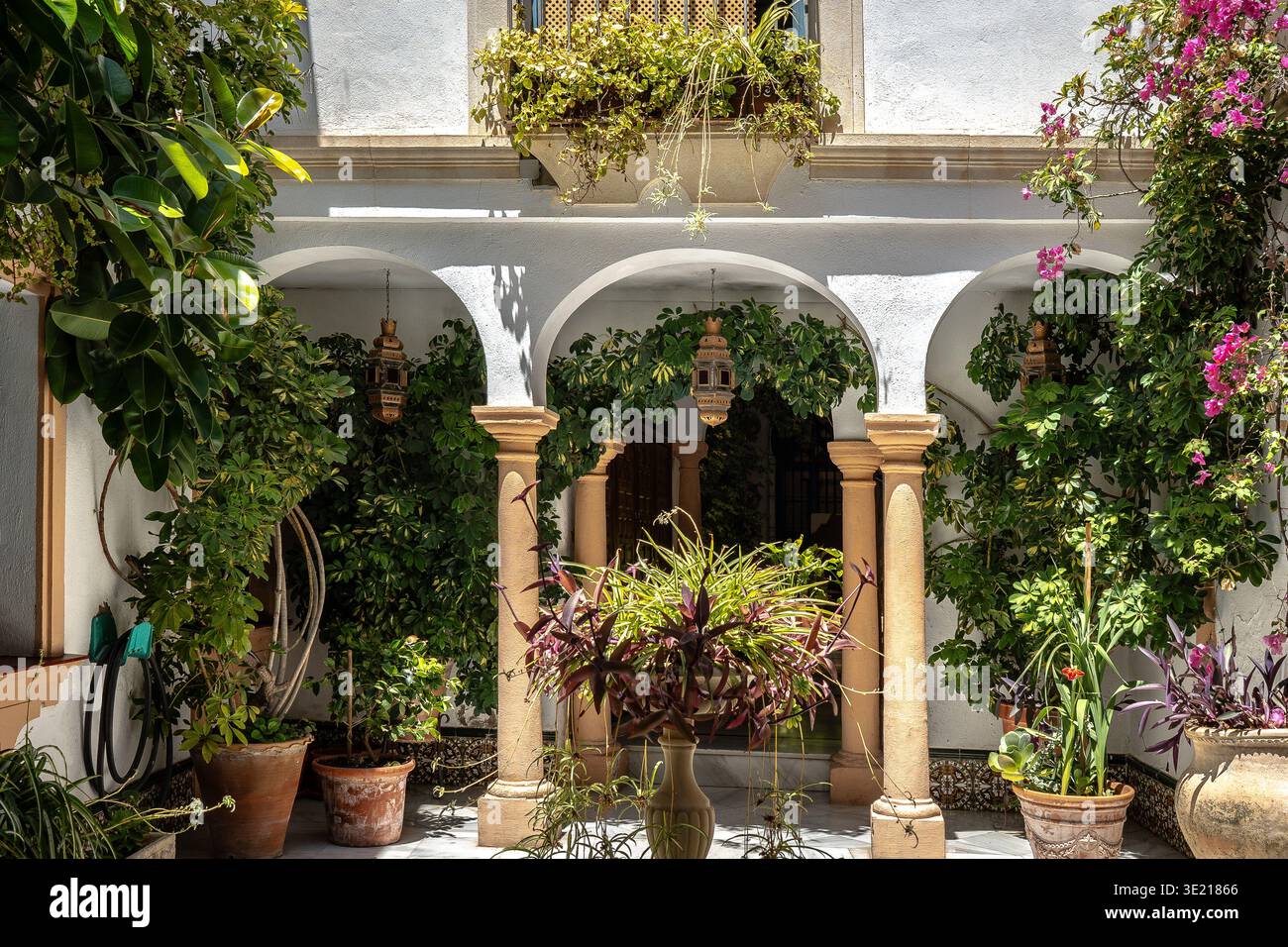 Cour andalouse traditionnelle remplie de plantes en pot à Cordoue, Espagne Banque D'Images