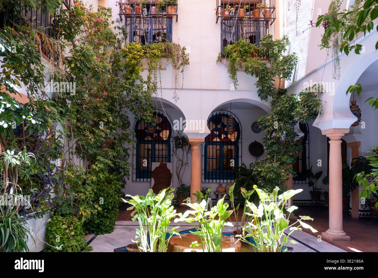 Cour andalouse traditionnelle remplie de plantes en pot à Cordoue, Espagne Banque D'Images