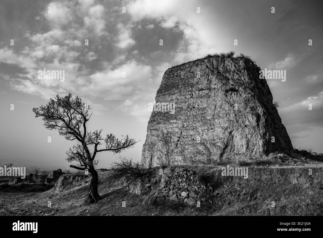 Anciennes ruines de la Grande Muraille dans la province du Shanxi, en Chine, entourées de fleurs de pêches sauvages en fleurs au début du printemps. Banque D'Images