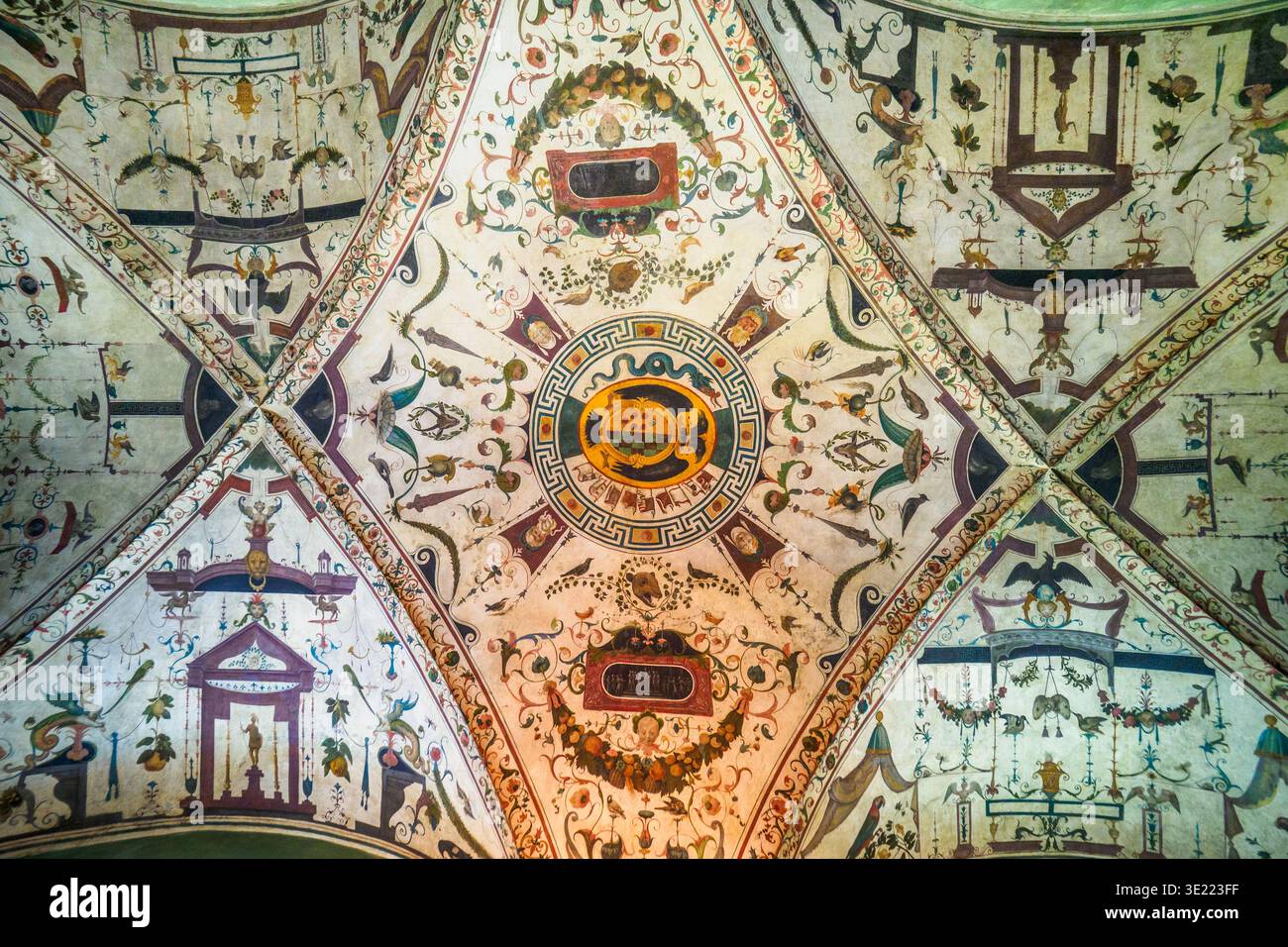 Chambre verte plafond décoré par Ridolfo del Ghirlandaio (1483 - 1561) dans les appartements d'Eleonora de Tolède - Palazzo Vecchio - Florence, Italie Banque D'Images