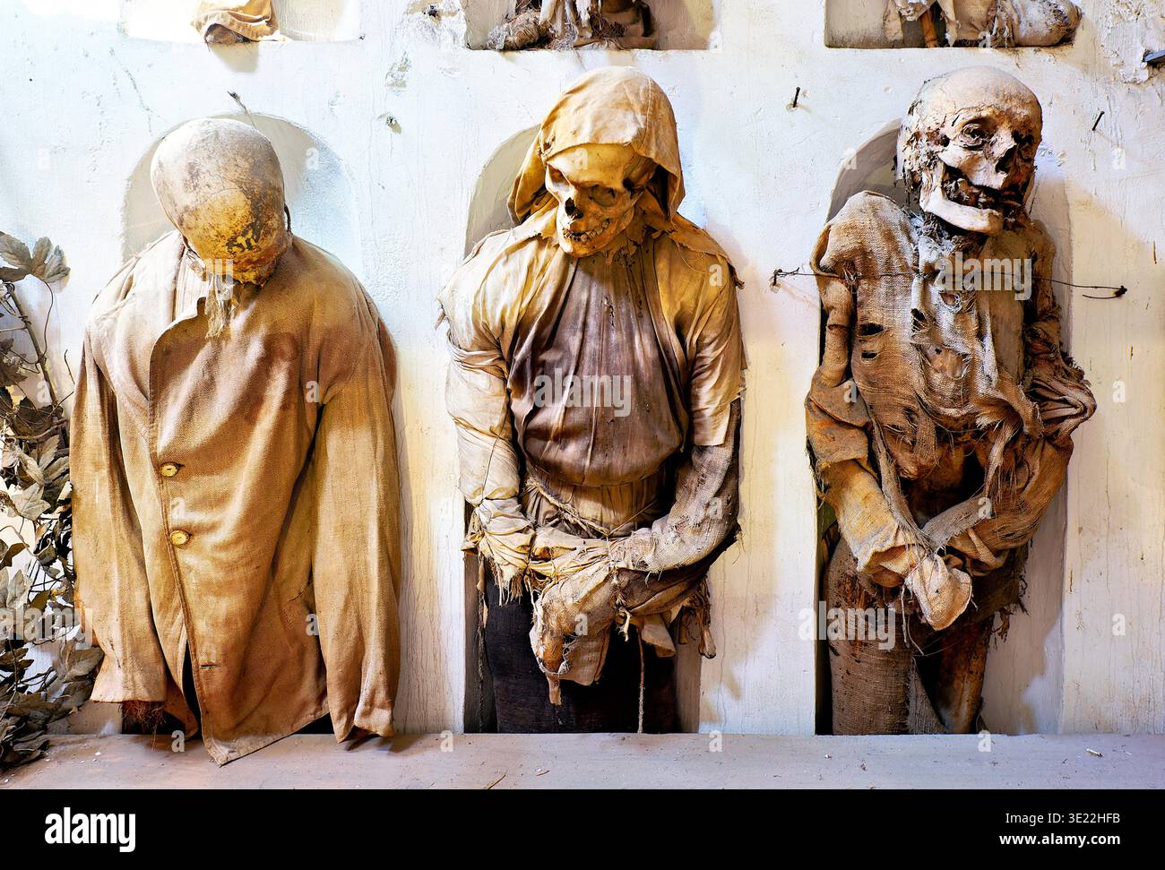 Les visiteurs observent des corps momifiés exposés dans les catacombes capucines de Palerme, en Sicile. Ce sont des vestiges historiques de différentes époques. Banque D'Images