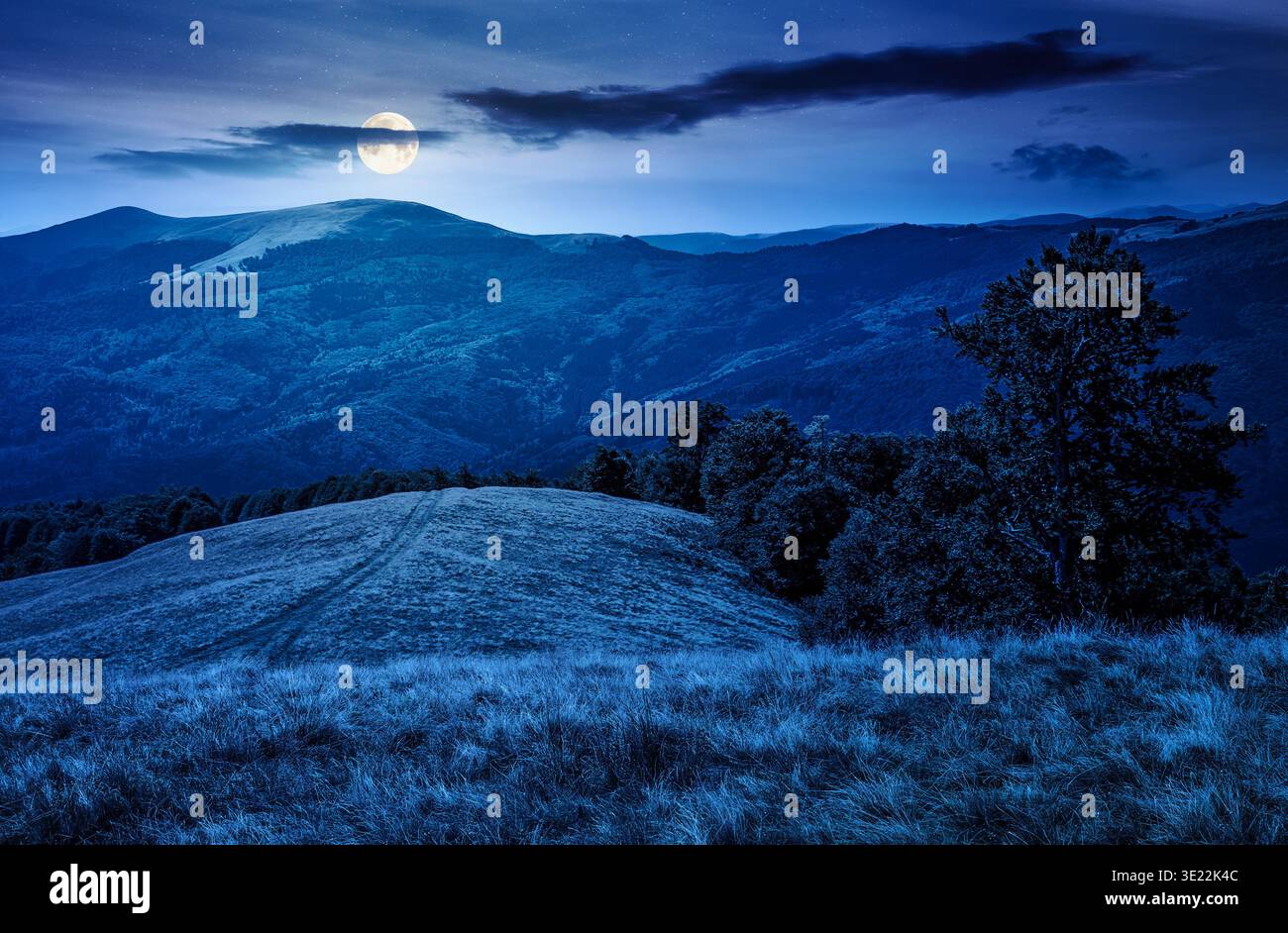 paysage montagneux à la fin de l'été la nuit. pleine lune au-dessus de magnifiques bois des hautes terres. prairie herbeuse sous ciel nuageux. paysage de campagne photo wit Banque D'Images