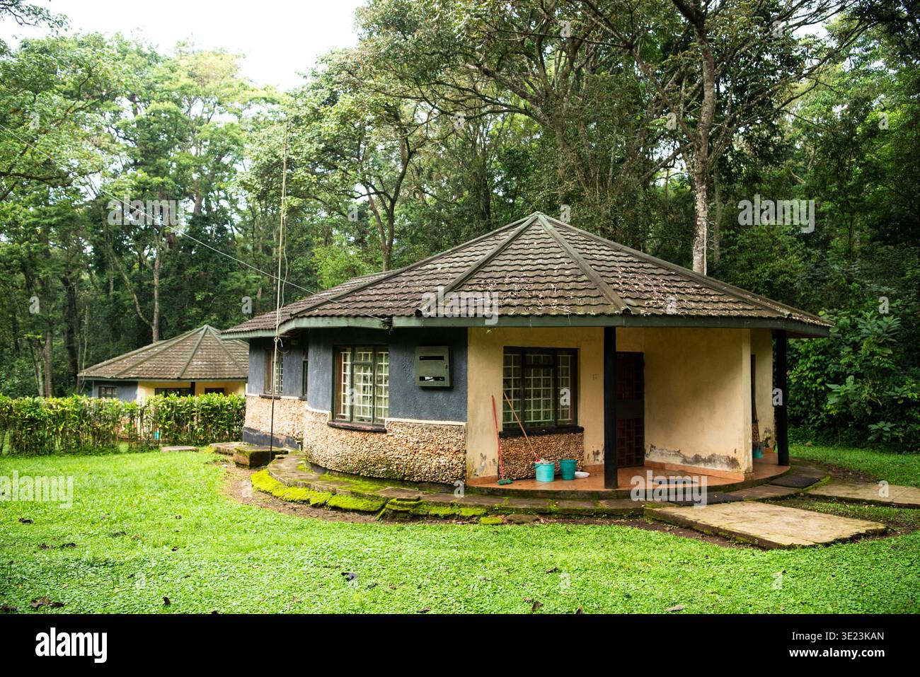 Maison d'hôtes Udo, réserve nationale de la forêt de Kakamega, Kenya Banque D'Images