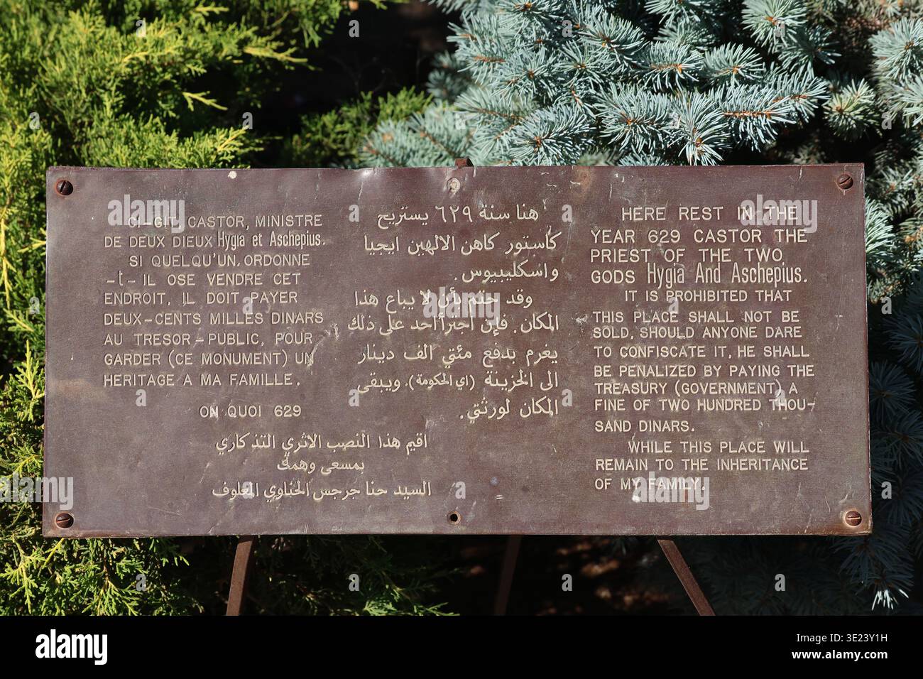 Une plaque métallique à Douma, Batroun, Liban, portant une ancienne inscription faisant référence à l'année 629 et Castor, prêtre des dieux Hygia et Asclépius. Banque D'Images