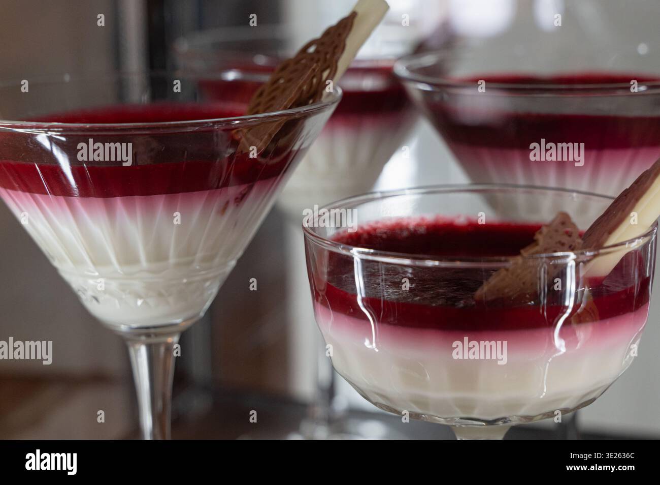 Panna cotta magnifiquement travaillée avec gelée de framboise et garniture de biscuit croquant Banque D'Images