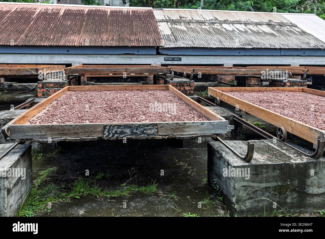 Cacahuètes et poêles de séchage, écrevisse Bay Organic Cocoa Estate and Chocolate Makers, Nonpareil, St Mark Parish, Grenade Banque D'Images