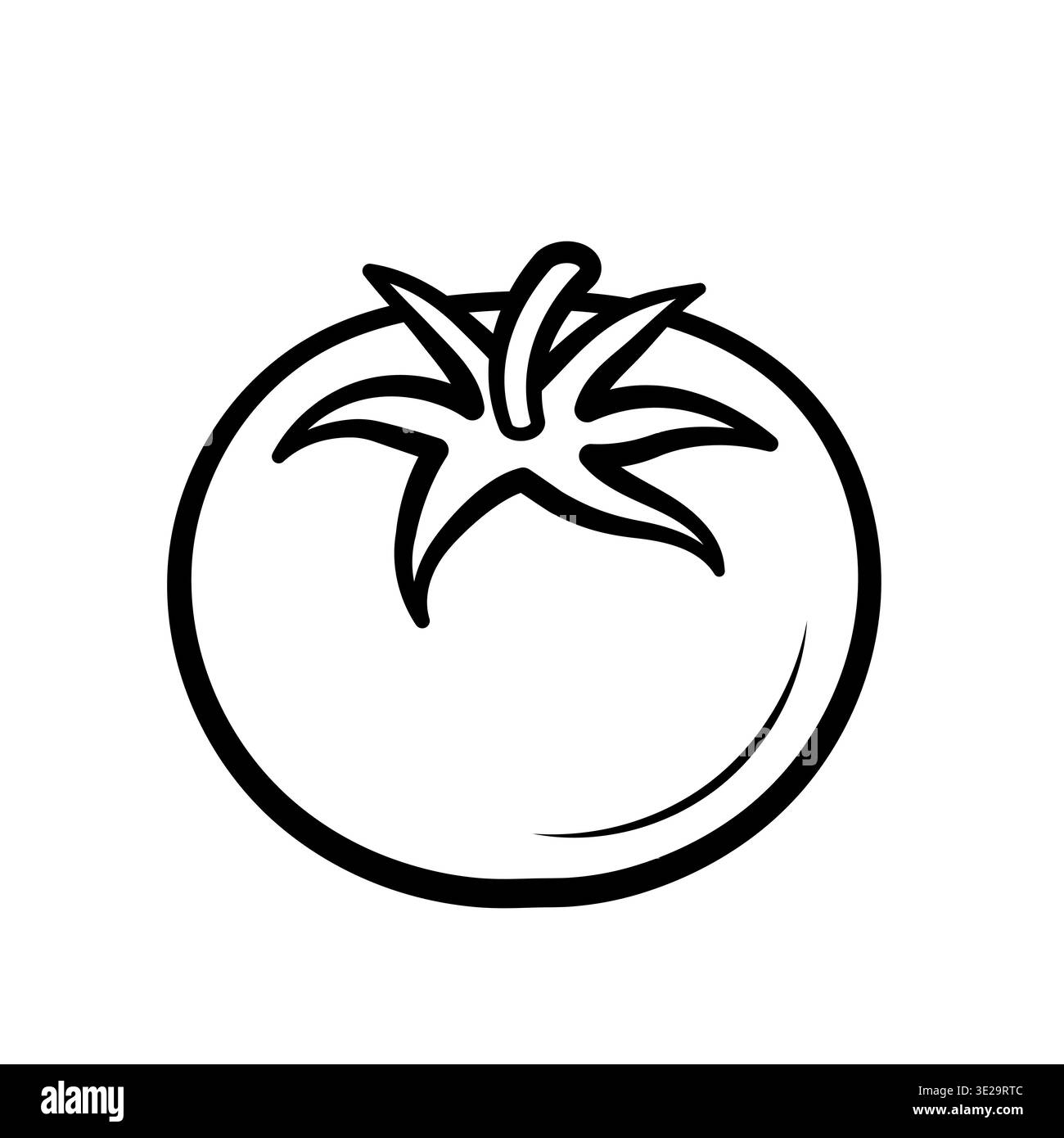 Tomate. Icônes de croquis dessinées à la main de légumes. Illustration vectorielle isolée dans le style de ligne doodle. Illustration de Vecteur