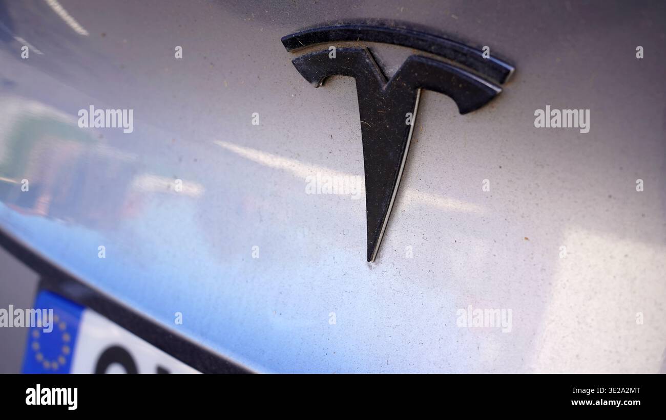 LYON, FRANCE - 19 MARS 2026 : logo Tesla noir sur une carrosserie de voiture électrique grise Banque D'Images