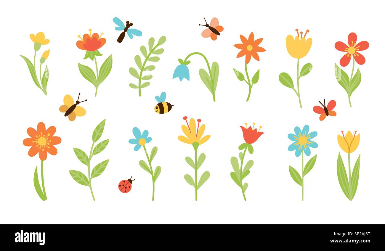 Ensemble floral de fleurs, brindilles et insectes Illustration de Vecteur