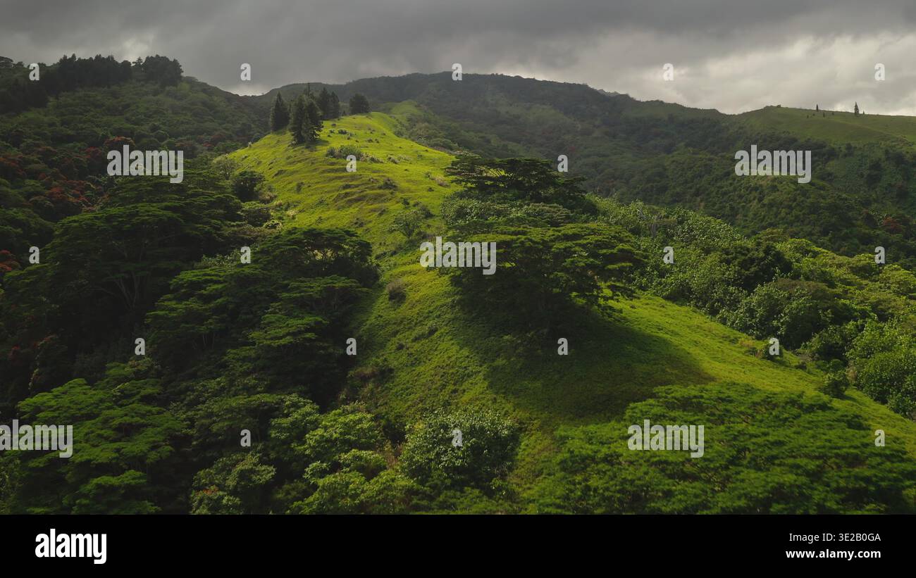 Vue aérienne de la végétation luxuriante de la jungle forestière couvrant les collines ondulantes de l'île tropicale de Tahiti, avec un ciel nuageux au-dessus de la tête créant une atmosphère dramatique. Panorama de vol de drone Banque D'Images